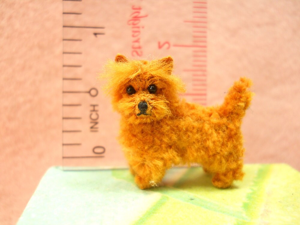 Norwich Terrier Puppy - Tiny Crochet Miniature Dog Stuffed Animals - Made To Order