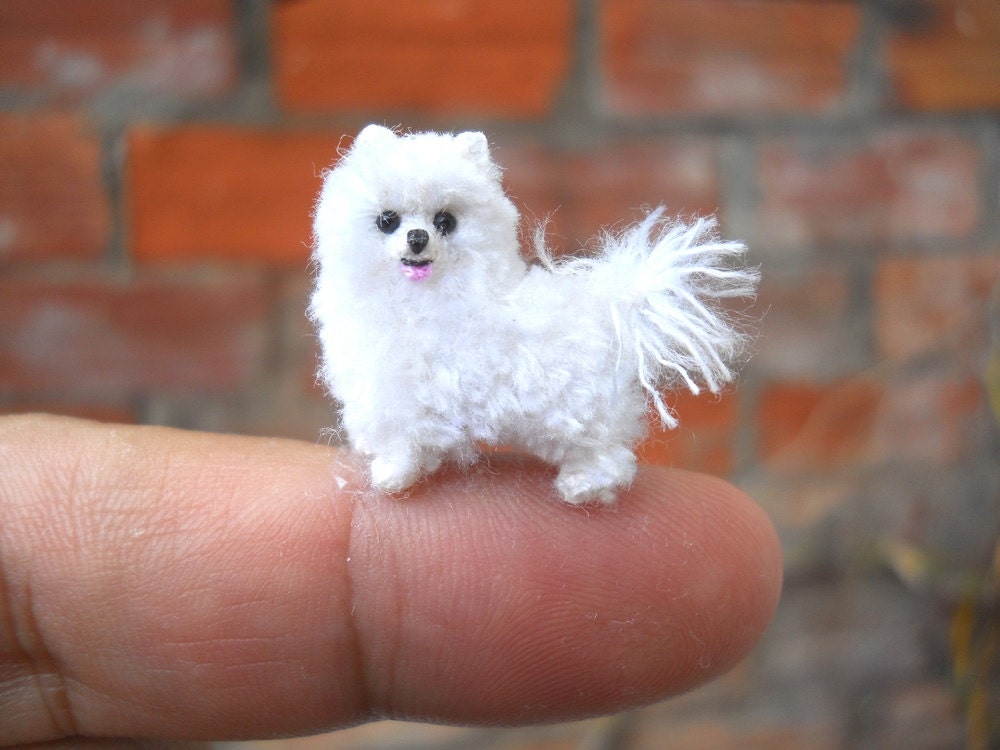 Miniature Teacup Pomeranian - Tiny Crochet Dog Stuffed Animals - Made To Order