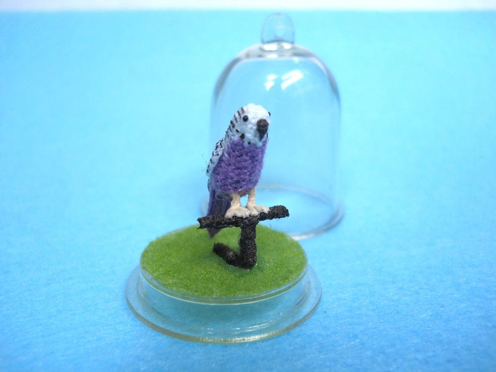 Miniature Budgerigar in Dome - Micro Budgie, Amigurumi Crochet Parakeet - Made To Order
