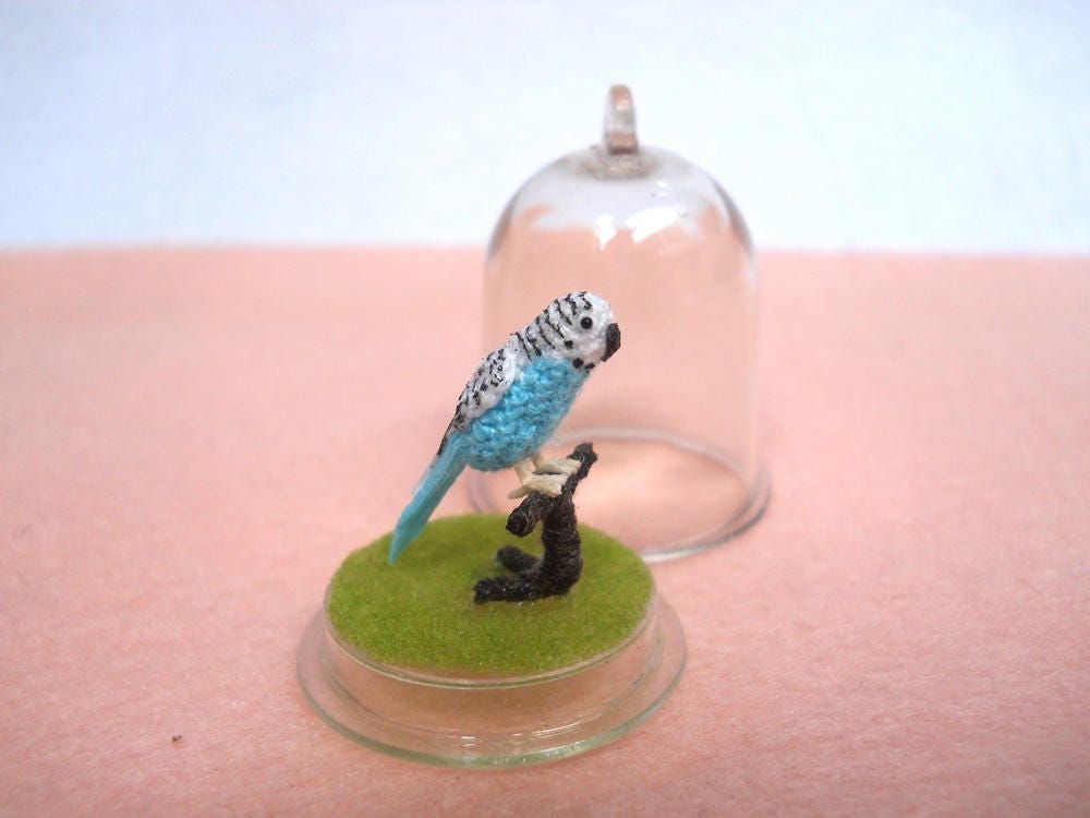 Miniature Budgerigar in Dome - Micro Budgie, Amigurumi Crochet Parakeet - Made To Order