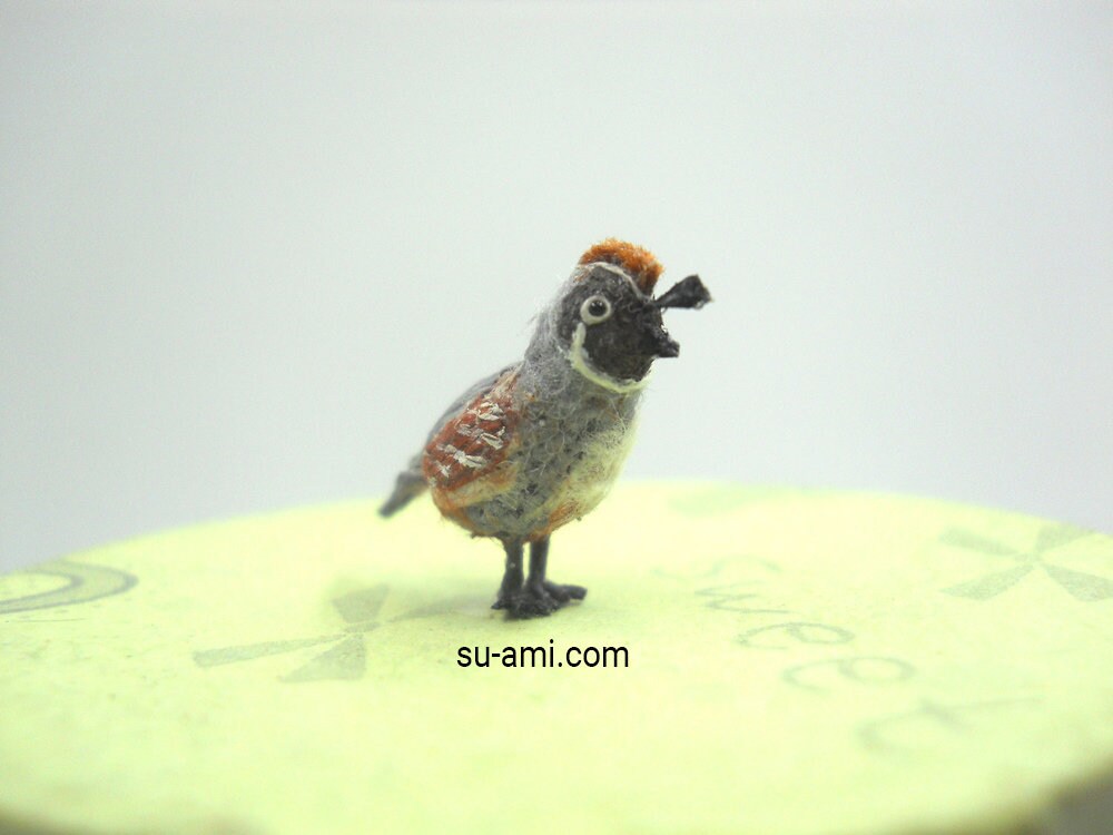 Miniature California Quail - Micro Amigurumi Crochet Bird - Made To Order