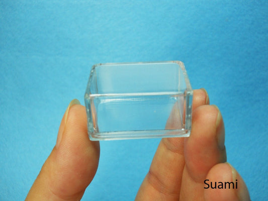 Small Clear Plastic Boxes - Display Boxes, Clear Display Cases,Transparent plastic box, Eco system terrarium boxes - Set of 12 PCS