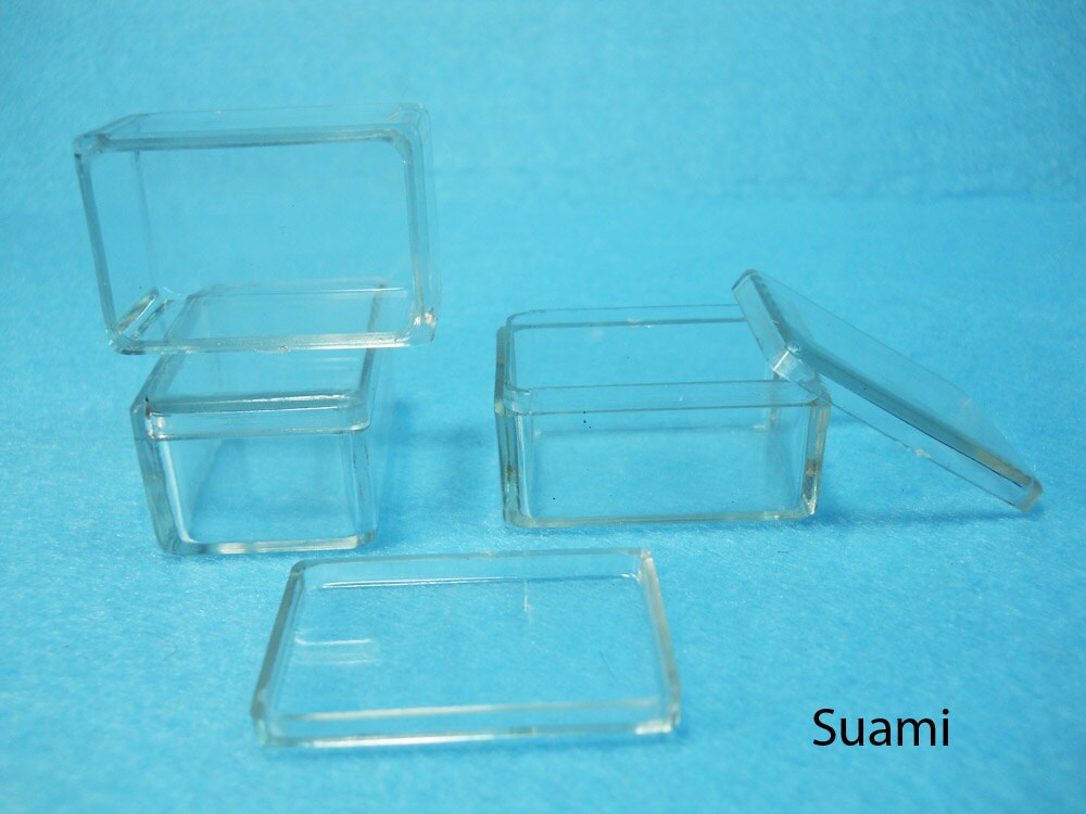 Small Clear Plastic Boxes - Display Boxes, Clear Display Cases,Transparent plastic box, Eco system terrarium boxes - Set of 12 PCS