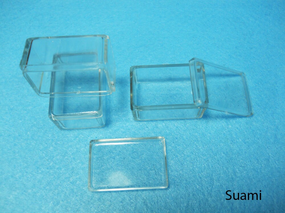 Small Clear Plastic Boxes - Display Boxes, Clear Display Cases,Transparent plastic box, Eco system terrarium boxes - Set of 12 PCS