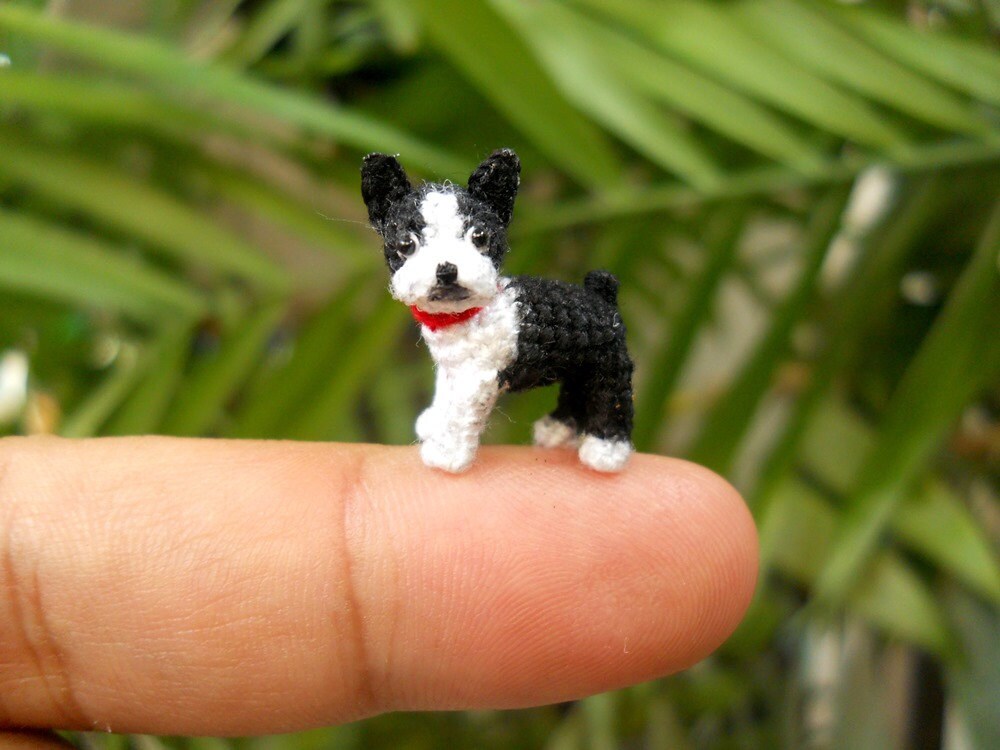 Boston Terrier - Tiny Crochet Micro Amigurumi Dog stuffed Animal - Made To Order