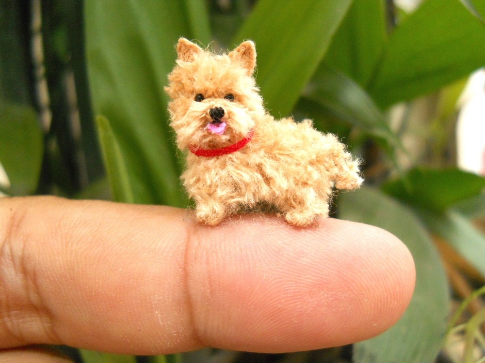 Fawn Cairn Terrier Puppy - Tiny Crochet Miniature Dog Stuffed Animals - Made To Order