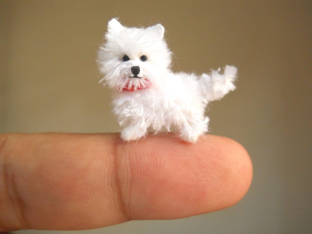 Miniature Westie Dog - West Highland White Terrier dog with Red collar - Made To Order