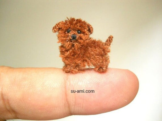 Yorkipoo Puppy - Tiny Crochet Miniature Dog Stuffed Animals - Made To Order