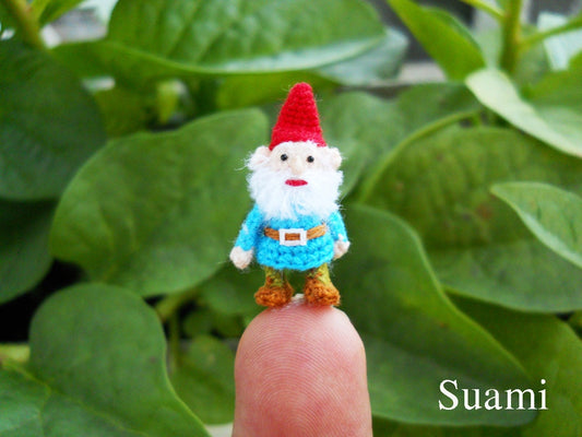 Tiny Crochet Gnome Miniature Doll Amigurumi - Made To Order